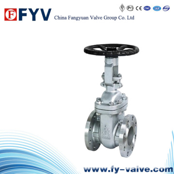 API 600 Wedge Acier inoxydable Main Wheel Gate Valve